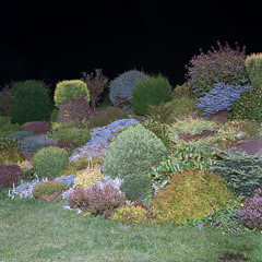 MINIPAX / MAXIBELLUM