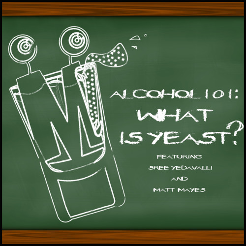 Stream Alcohol 101 What Is Yeast? by Black Liver Project Listen