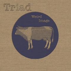 Triad - Weird Image - Teaser