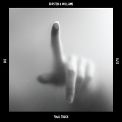 Final Touch (Original Mix)