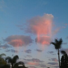 Wasted Time performed by TJ Gaghan