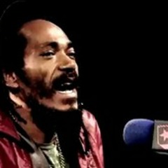 Rasta Revolution live