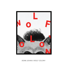 The One (Adam Johan Remix) - Wolf Colony