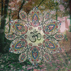 Shiango - Freakedelic Music