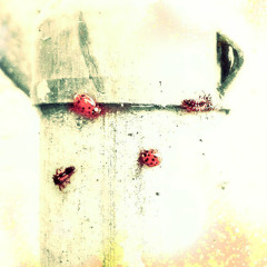 Sous les-rendons Nous