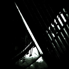 Set in Motion (I)