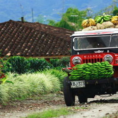 Innovadores Música Andina Colombiana