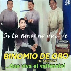 Binomio de Oro - Si Tu Amor No Vuelve (Kelvin Parra Remix)