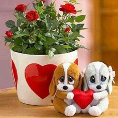 ႏွစ္ေယာက္တည္းကမ႓ာ-ရဲရင့္ေအာင္၊စုခ်စ္ေဇာ္