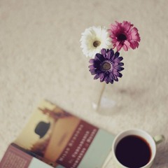 أناشيد .. :)