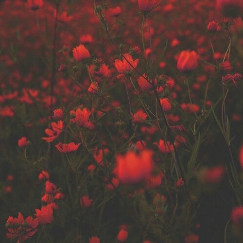 Do You Still (Freestyle)