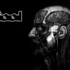 TOOL- (the pot cover)