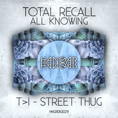 HNGR029 > TOTAL RECALL - ALL KNOWING // T>I - STREET THUG