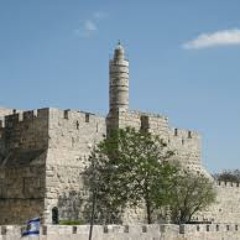 בוצר · הפרעות. קשב. ריכוז. · ציון