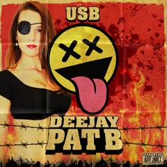 Pat B & Critical Mass - Wonderland
