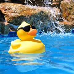 Pools On Parade