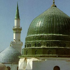 قلبي إلى بلد الحبيب يهيم - أمين الدشناوي