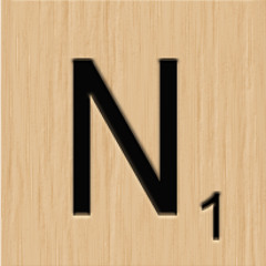 Advice on using the "N-WORD"