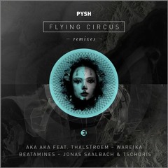 Pysh - Saint Greed (Beatamines Remix) [EINMUSIKA]