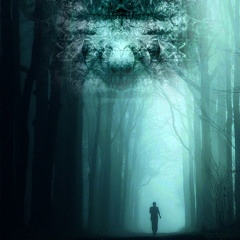 ShivaOm & Alienapia - Back In Forest (VERS2014)