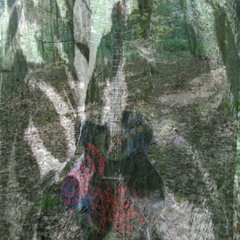 BRUCE ALMIGHTY--Dappled Sunlight