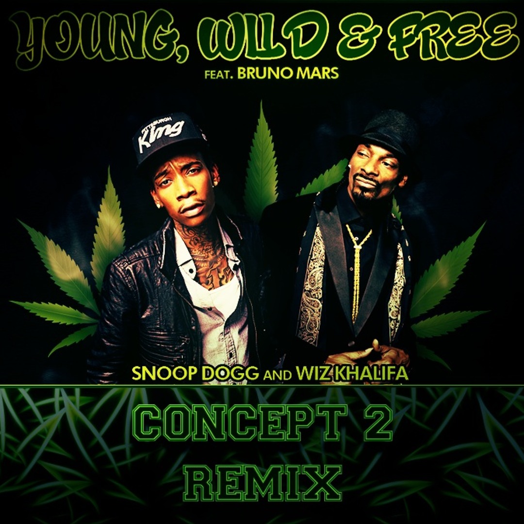 洋楽 Snoop Dogg & Wiz Khalifa young,wild&free 51fYZO-T7RL._UF1000,1000_QL80_.jpg