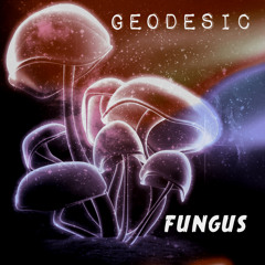 Geodesic - Fungus