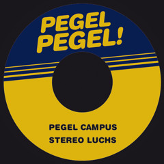 Stereo Luchs - Pegel Campus