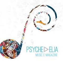 Psychedelia Music E-Zine - Albums Of The Half Year - Part 1