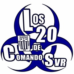 15.- Esta hinchada no te deja de alentar - Comando Svr