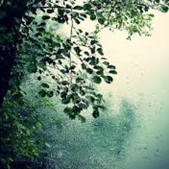 Bach-Concerto for 2 Violins in D minor, BWV 1043:2. Largo ma non tanto