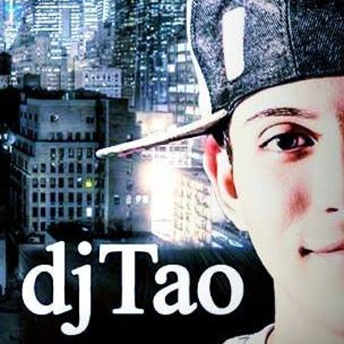 PERRA PALGA 2014 - DJ TAO ( UnderMix )