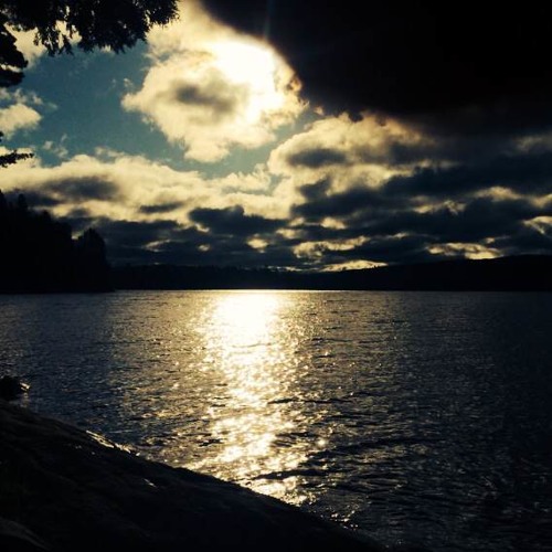 The Southern Woods (Original Mix) (Old Version)