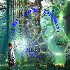 The Lucid Dream