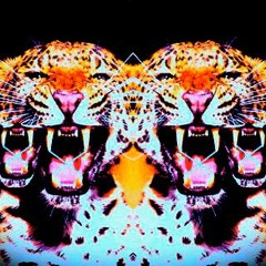 Funk D (Edit Remix) free download !!