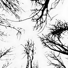 Do Not Be Late - BG & Åio (Teaser)