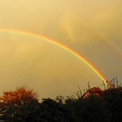 Love is like a rainbow*