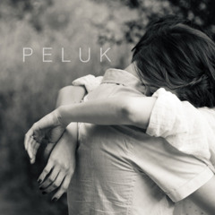 Puisi Dewi Lestari Peluk - Mita Oktavia