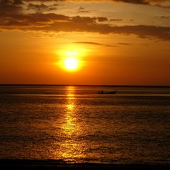 Klinga - Så skimrande var aldrig havet