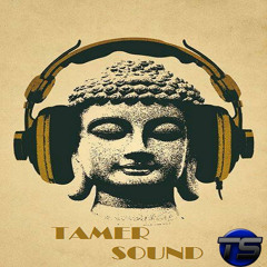 Tarmer Sound- Lost World