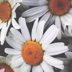 Fruit Cake - Eraserheads