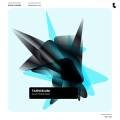 Steve Lorenz Berghain 5 AM