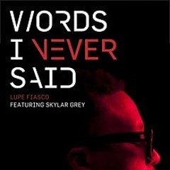 Skylar Grey - Words I Never Said  (Ft. Lupe Fiasco) (Zoroaster Remix)