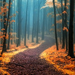 ishq sadiq ho to.mp3