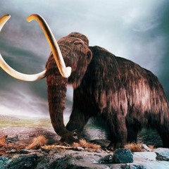 Montagem - Aquecimento Mammoth ( DJ Sydney )