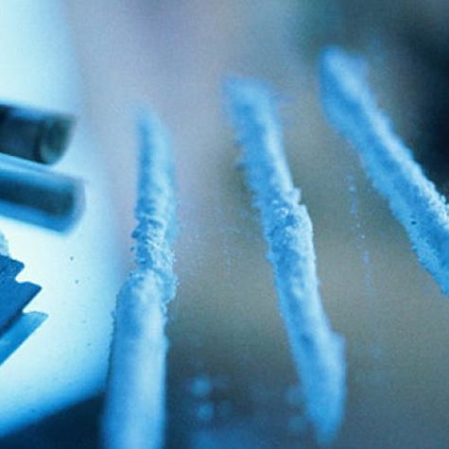 BlueMagic | PMC | Quick 16 (FreeDL)