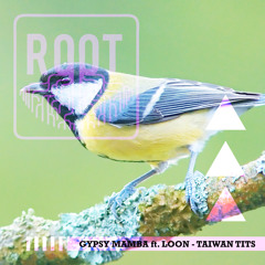 Gypsy Mamba ft. Loon (LOOTERS) - Taiwan Tits