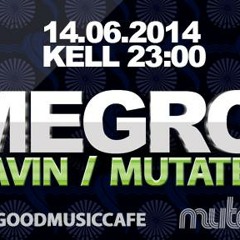 Homegrown Promo June 2014 - Mark Slavin x Mutated Forms