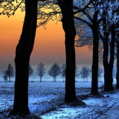 Meditation (Tahir Buselik)