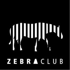 Mario Rothe live mit Percussionist